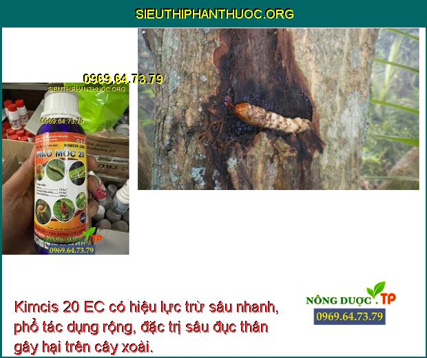 Kimcis 20 EC có hiệu lực trừ sâu nhanh, phổ tác dụng rộng, đặc trị sâu đục thân gây hại trên cây xoài.