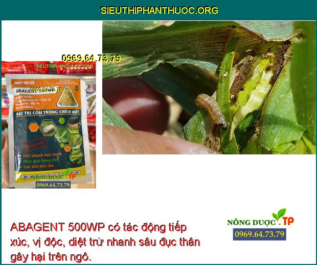 ABAGENT 500WP có tác động tiếp xúc, vị độc, diệt trừ nhanh sâu đục thân gây hại trên ngô.