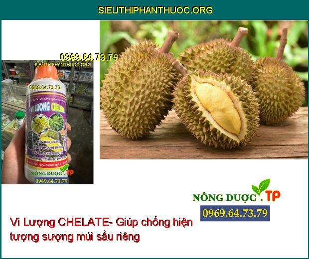 Vi Lượng CHELATE- Chống Rụng- Lớn Trái- Chống Sượng- Khô Đầu Múi- Vàng Cơm.