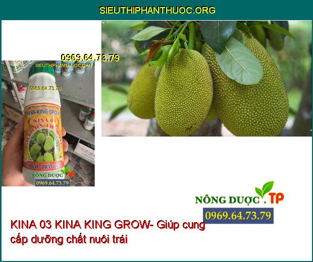 KINA 03 KINA KING GROW- Lớn Trái- Chắc Hạt- Dày Cơm- Màu Vàng Đẹp.