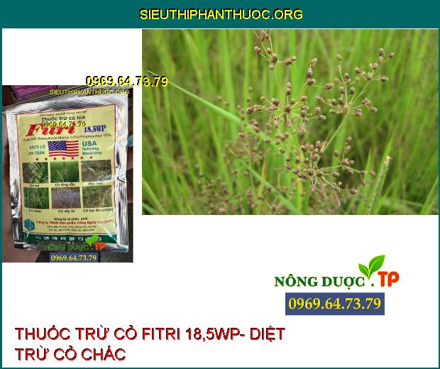 FITRI 18,5WP- Diệt Trừ Cỏ Bợ- Cỏ Lồng Vực- Cỏ Chác- Cỏ Vẩy Ốc.