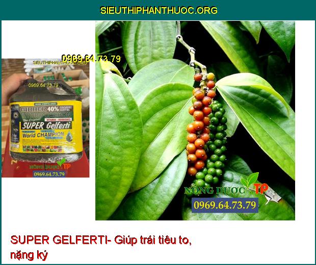 SUPER GELFERTI- Tăng Nảy Mầm- Ra Rễ Mạnh- Vọt Đọt- Ra Hoa- Tăng Đậu Trái.