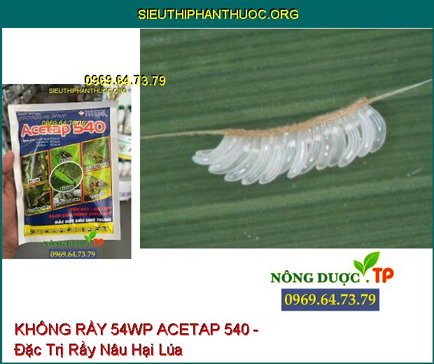 KHÔNG RẦY 54WP ACETAP 540- Đặc Trị Rầy Lúa- Rệp Sáp- Bọ Trĩ- Ruồi Vàng.