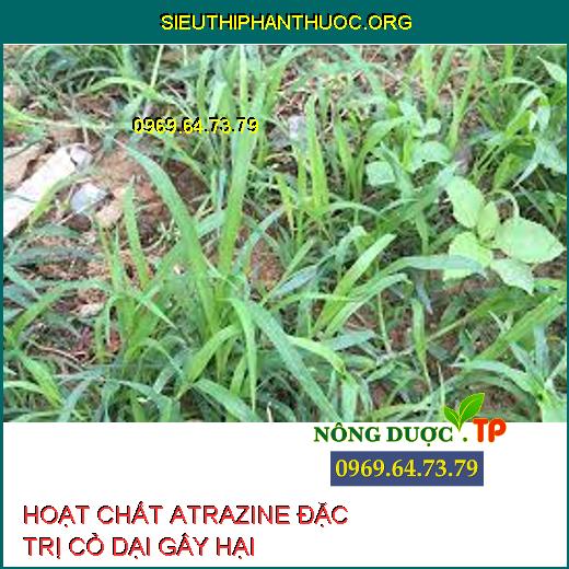 HOẠT CHẤT ATRAZINE