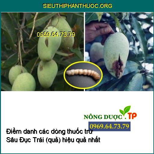 Điểm danh các dòng thuốc trừ Sâu Đục Trái (quả) hiệu quả được Chuyên gia tiết lộ