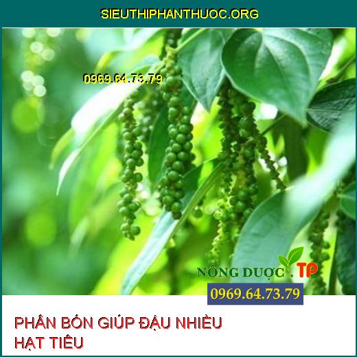 ĐẬU NHIỀU HẠT