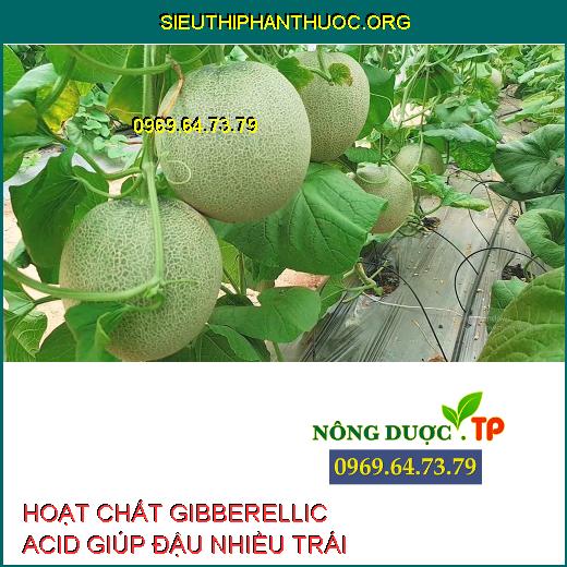 HOẠT CHẤT GIBBERELLIC ACID