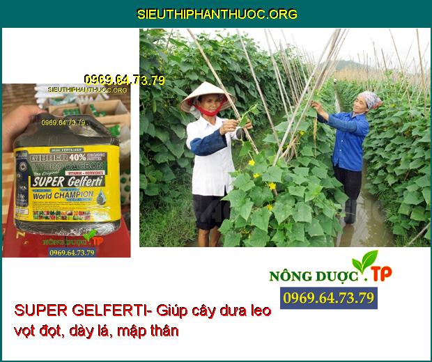 SUPER GELFERTI- Tăng Nảy Mầm- Ra Rễ Mạnh- Vọt Đọt- Ra Hoa- Tăng Đậu Trái.