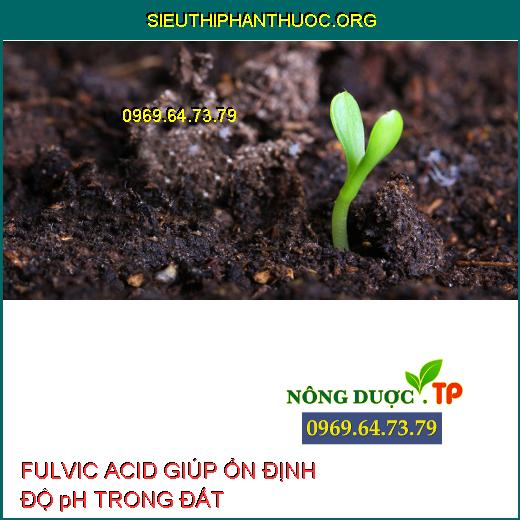 FULVIC ACID