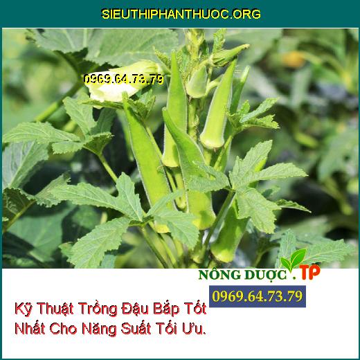 Kỹ Thuật Trồng Đậu Bắp Tốt Nhất Cho Năng Suất Tối Ưu.