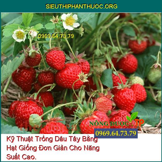 Kỹ Thuật Trồng Dâu Tây Bằng Hạt Giống Đơn Giản Cho Năng Suất Cao.