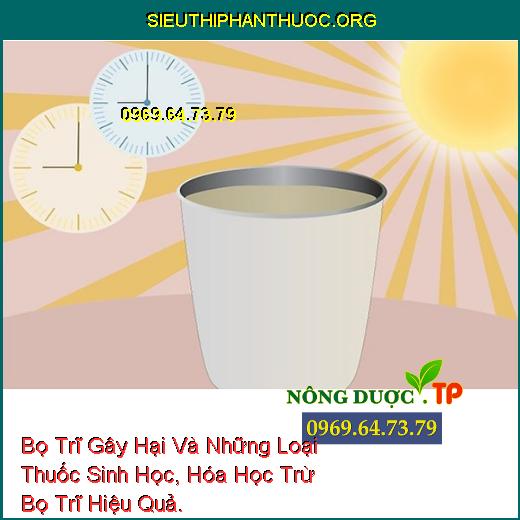 Bọ Trĩ Gây Hại Và Những Loại Thuốc Sinh Học, Hóa Học Trừ Bọ Trĩ Hiệu Quả.