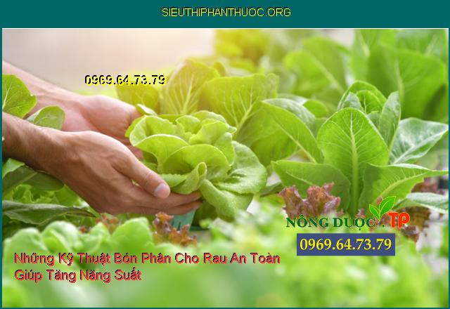 Những Kỹ Thuật Bón Phân Cho Rau An Toàn Giúp Tăng Năng Suất