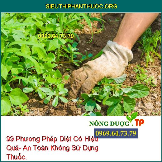 Cách diệt trừ cỏ gấu không sử dụng thuốc