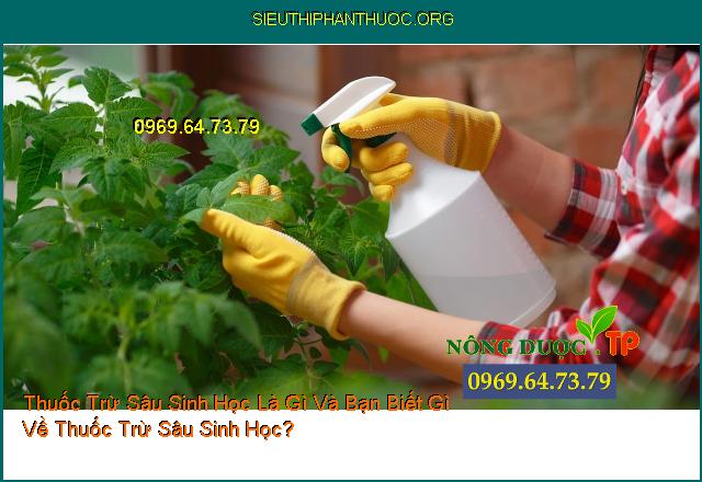 Thuốc Trừ Sâu Sinh Học Là Gì Và Bạn Biết Gì Về Thuốc Trừ Sâu Sinh Học?