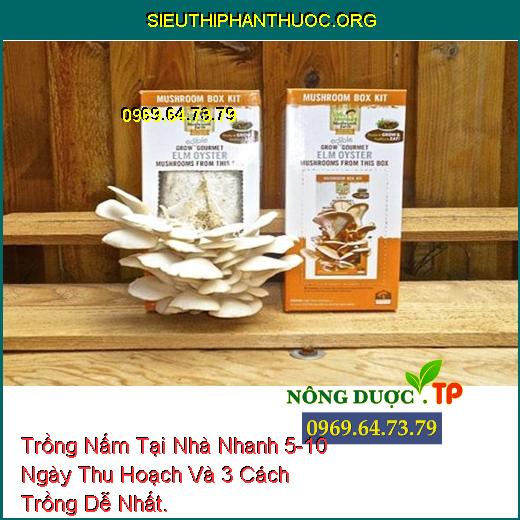 Trồng Nấm Tại Nhà Nhanh 5-10 Ngày Thu Hoạch Và 3 Cách Trồng Dễ Nhất.