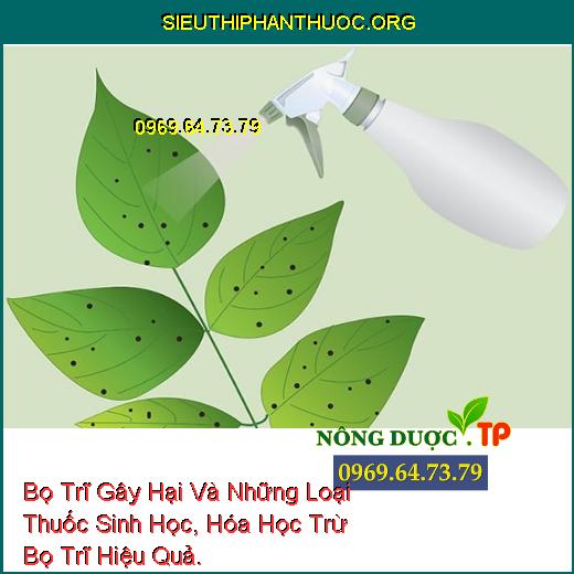 Bọ Trĩ Gây Hại Và Những Loại Thuốc Sinh Học, Hóa Học Trừ Bọ Trĩ Hiệu Quả.