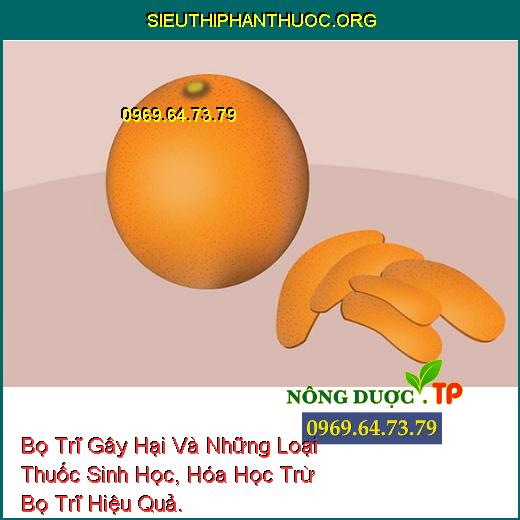 Bọ Trĩ Gây Hại Và Những Loại Thuốc Sinh Học, Hóa Học Trừ Bọ Trĩ Hiệu Quả.