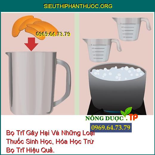 Bọ Trĩ Gây Hại Và Những Loại Thuốc Sinh Học, Hóa Học Trừ Bọ Trĩ Hiệu Quả.