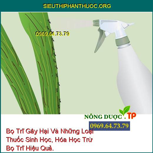 Bọ Trĩ Gây Hại Và Những Loại Thuốc Sinh Học, Hóa Học Trừ Bọ Trĩ Hiệu Quả.