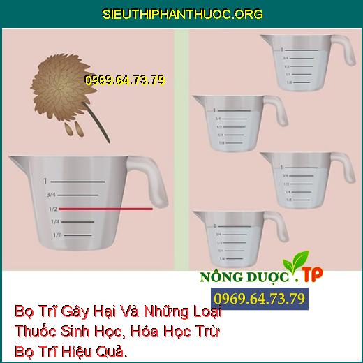 Bọ Trĩ Gây Hại Và Những Loại Thuốc Sinh Học, Hóa Học Trừ Bọ Trĩ Hiệu Quả.