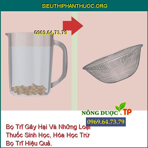 Bọ Trĩ Gây Hại Và Những Loại Thuốc Sinh Học, Hóa Học Trừ Bọ Trĩ Hiệu Quả.