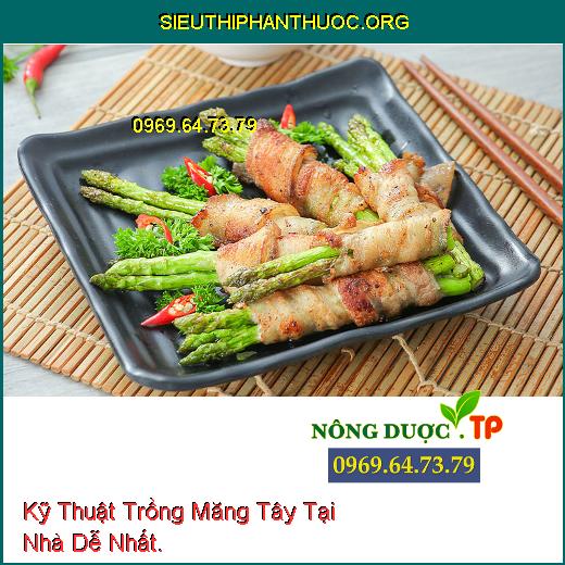 Kỹ Thuật Trồng Măng Tây Tại Nhà Dễ Nhất.