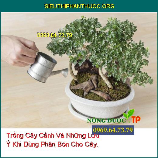 Trồng Cây Cảnh Và Những Lưu Ý Khi Dùng Phân Bón Cho Cây.