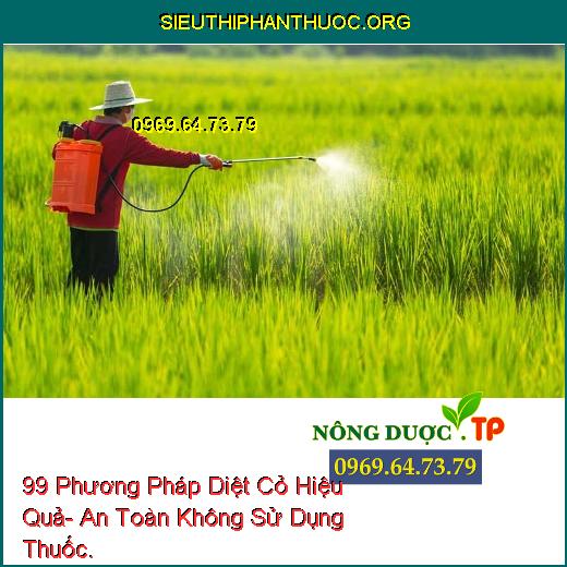 99 Phương Pháp Diệt Cỏ Hiệu Quả- An Toàn Không Sử Dụng Thuốc.