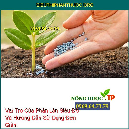 Vai Trò Của Phân Lân Siêu Đỏ Và Hướng Dẫn Sử Dụng Đơn Giản.