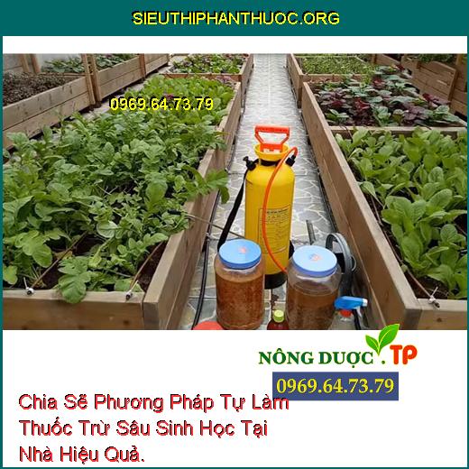 Chia Sẽ Phương Pháp Tự Làm Thuốc Trừ Sâu Sinh Học Tại Nhà Hiệu Quả.