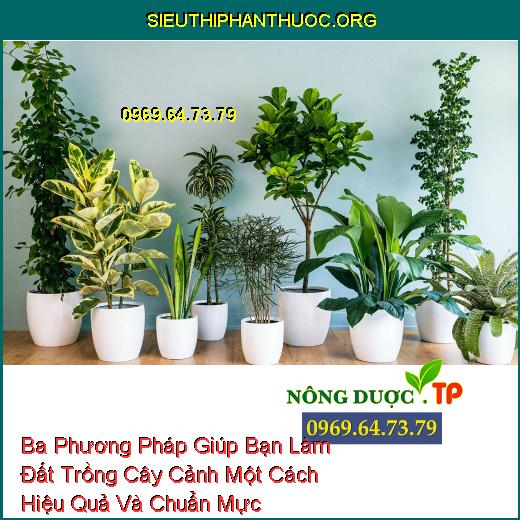 Ba Phương Pháp Giúp Bạn Làm Đất Trồng Cây Cảnh Một Cách Hiệu Quả Và Chuẩn Mực