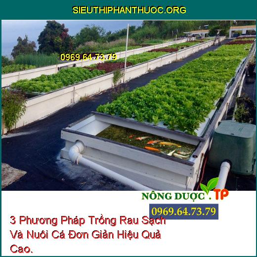 3 Phương Pháp Trồng Rau Sạch Và Nuôi Cá Đơn Giản Hiệu Quả Cao.