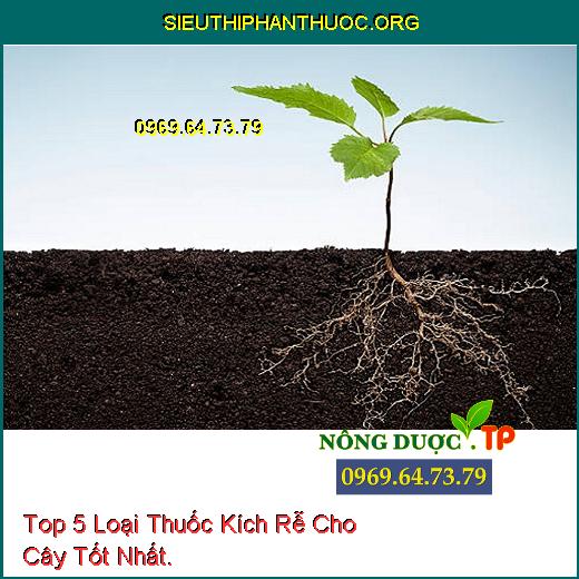 Top 5 Loại Thuốc Kích Rễ Cho Cây Tốt Nhất.