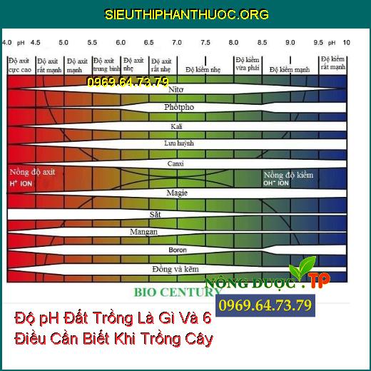 Độ pH Đất Trồng Là Gì Và 6 Điều Cần Biết Khi Trồng Cây