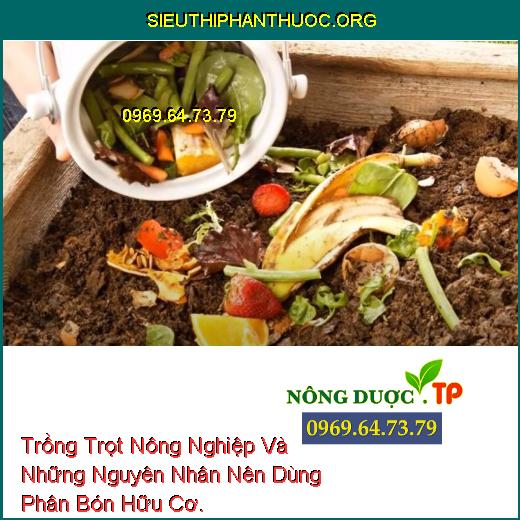 Trồng Trọt Nông Nghiệp Và Những Nguyên Nhân Nên Dùng Phân Bón Hữu Cơ.