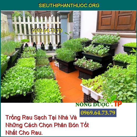 Trồng Rau Sạch Tại Nhà Và Những Cách Chọn Phân Bón Tốt Nhất Cho Rau.