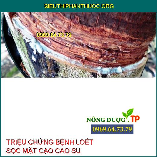 LOÉT MẶT CẠO