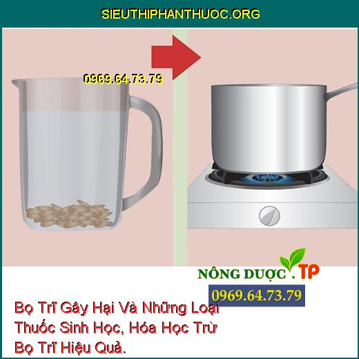 Bọ Trĩ Gây Hại Và Những Loại Thuốc Sinh Học, Hóa Học Trừ Bọ Trĩ Hiệu Quả.