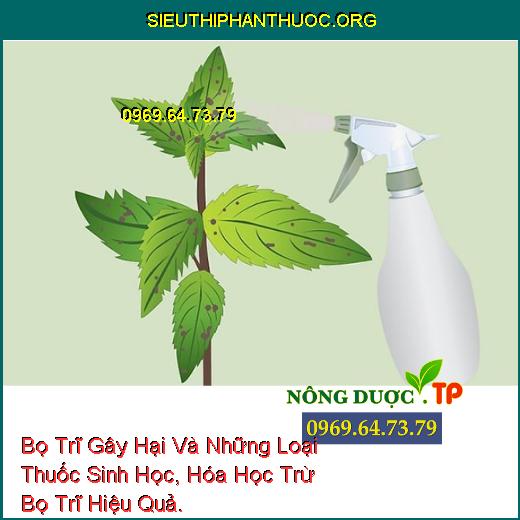 Bọ Trĩ Gây Hại Và Những Loại Thuốc Sinh Học, Hóa Học Trừ Bọ Trĩ Hiệu Quả.