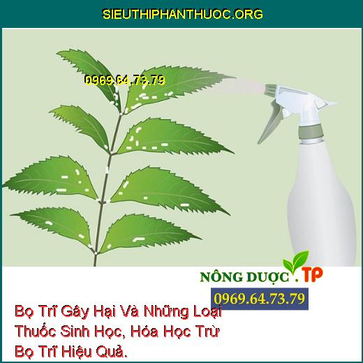 Bọ Trĩ Gây Hại Và Những Loại Thuốc Sinh Học, Hóa Học Trừ Bọ Trĩ Hiệu Quả.