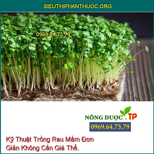 Kỹ Thuật Trồng Rau Mầm Đơn Giản Không Cần Giá Thể.