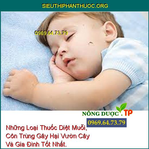 Những Loại Thuốc Diệt Muỗi, Côn Trùng Gây Hại Vườn Cây Và Gia Đình Tốt Nhất.