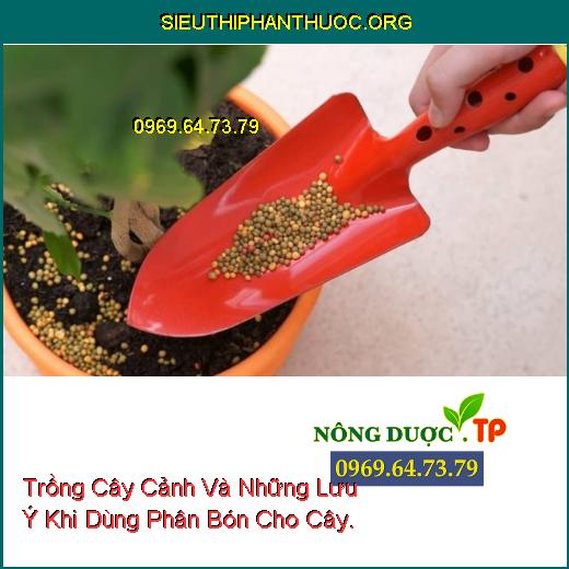 Trồng Cây Cảnh Và Những Lưu Ý Khi Dùng Phân Bón Cho Cây.