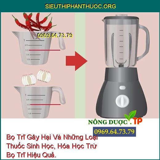 Bọ Trĩ Gây Hại Và Những Loại Thuốc Sinh Học, Hóa Học Trừ Bọ Trĩ Hiệu Quả.