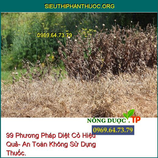 99 Phương Pháp Diệt Cỏ Hiệu Quả- An Toàn Không Sử Dụng Thuốc.