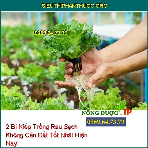 2 Bí Kiếp Trồng Rau Sạch Không Cần Đất Tốt Nhất Hiện Nay.