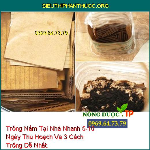 Trồng Nấm Tại Nhà Nhanh 5-10 Ngày Thu Hoạch Và 3 Cách Trồng Dễ Nhất.