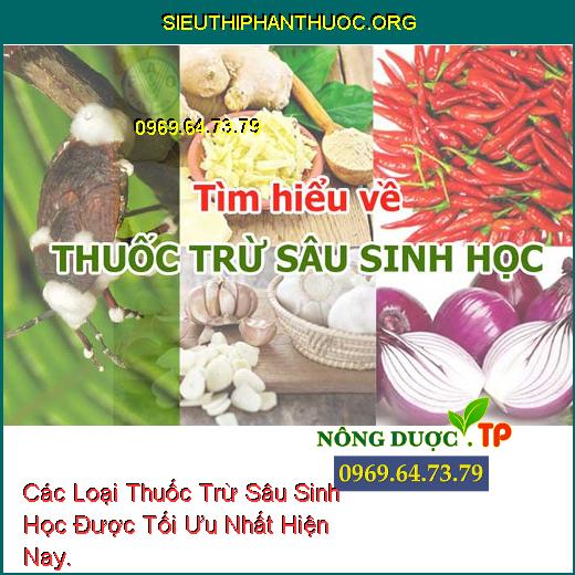 Các Loại Thuốc Trừ Sâu Sinh Học Được Tối Ưu Nhất Hiện Nay.