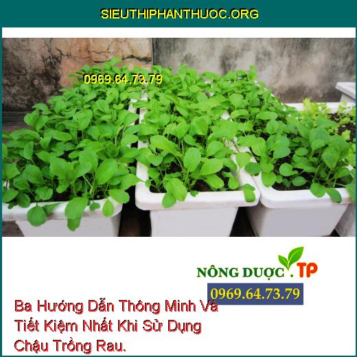 Ba Hướng Dẫn Thông Minh Và Tiết Kiệm Nhất Khi Sử Dụng Chậu Trồng Rau.